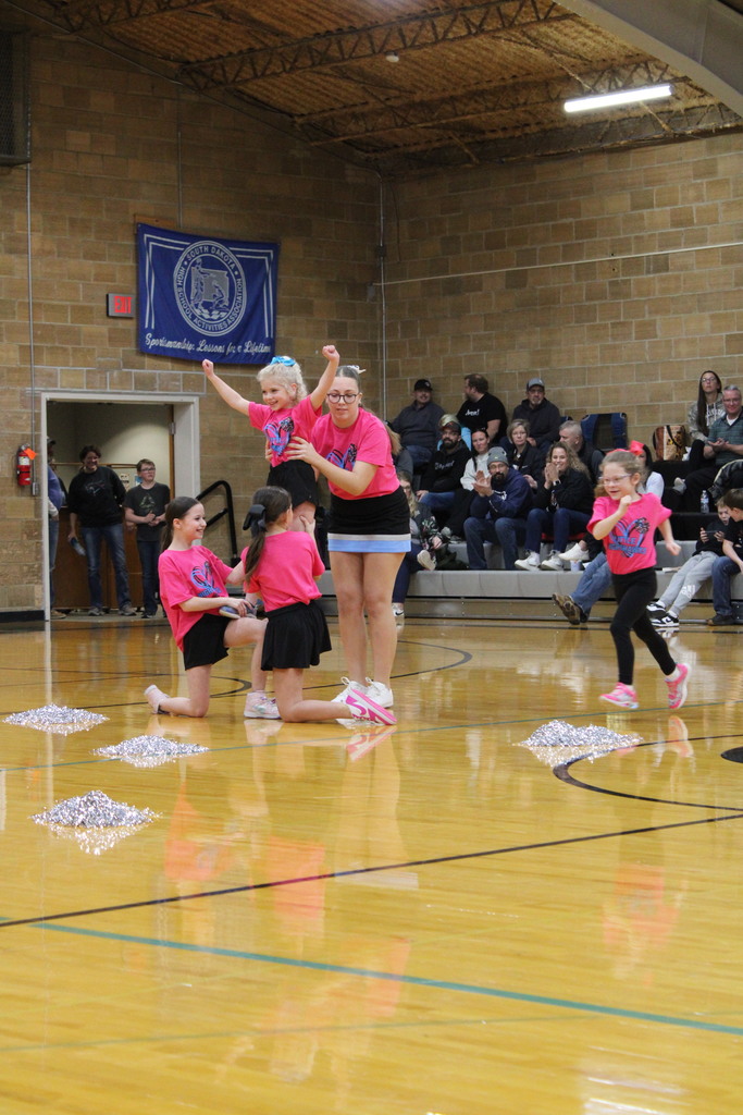 Little Nighthawk Cheer