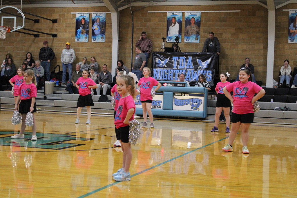 Little Nighthawk Cheer