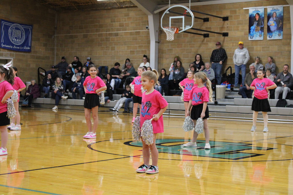 Little Nighthawk Cheer