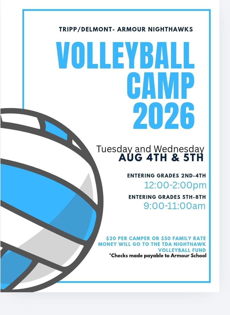 Volleyball camp