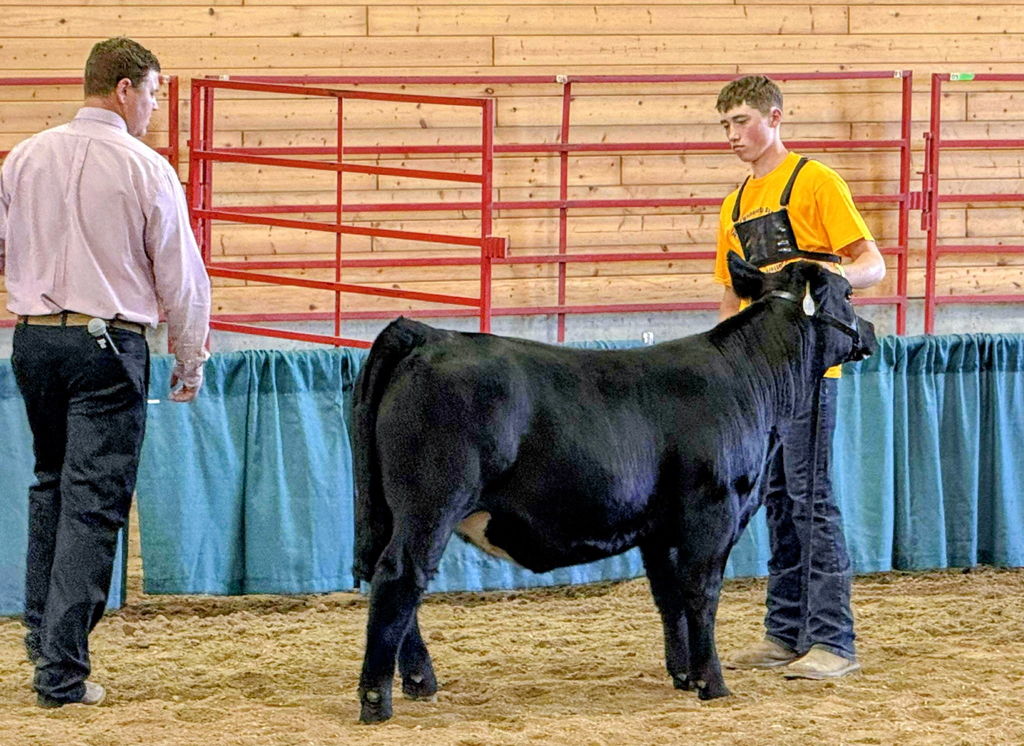 FFA State Fair