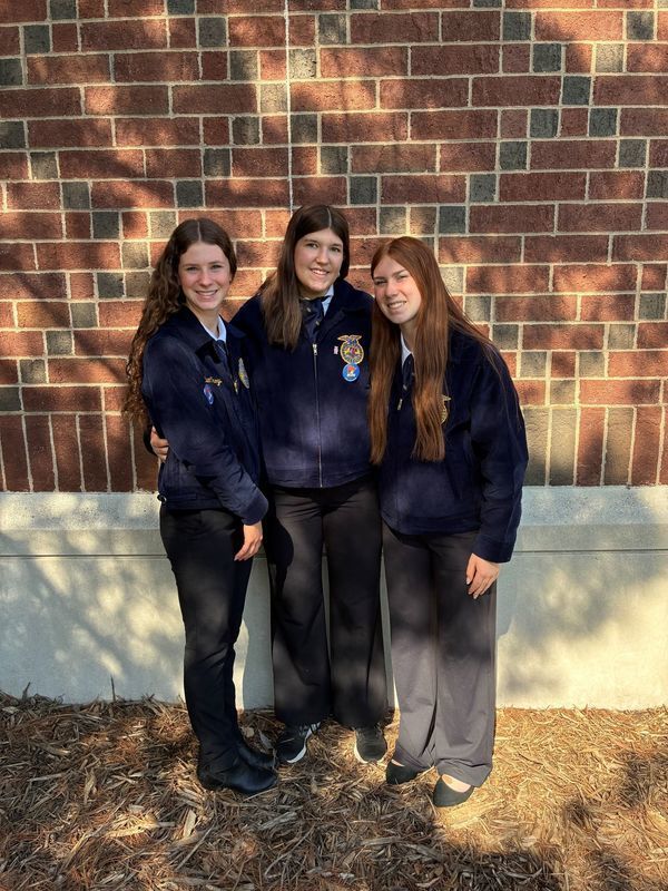FFA State Convention Market Plan Team 