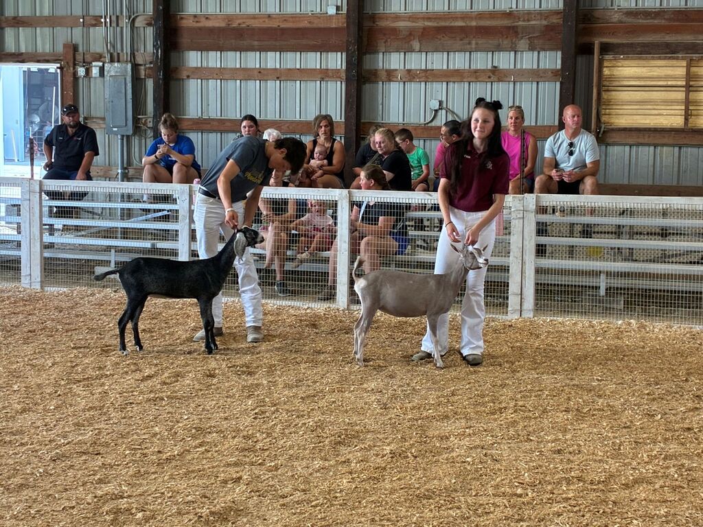 A Week of Hard Work and Success for Triton FFA at the Dodge County Fair