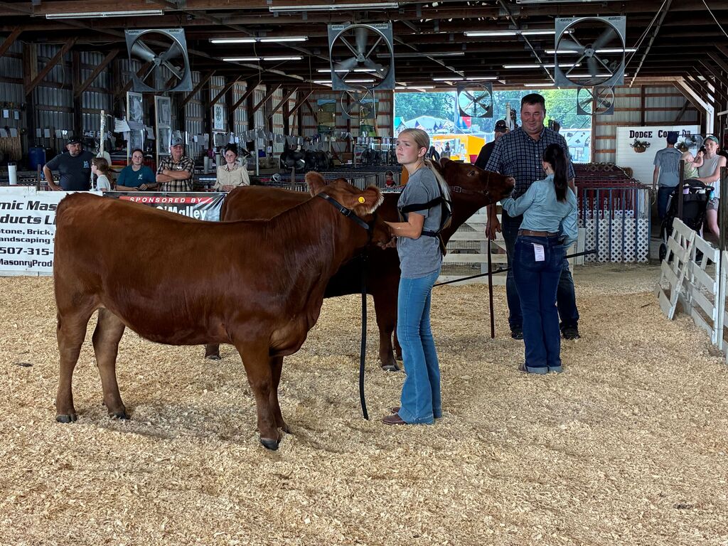 A Week of Hard Work and Success for Triton FFA at the Dodge County Fair
