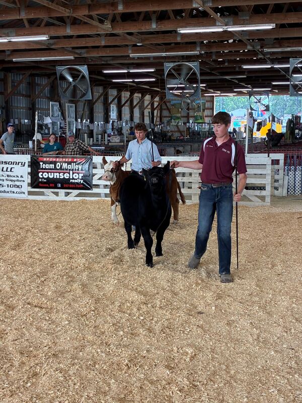Noah Kasper setting up his beef for the judge