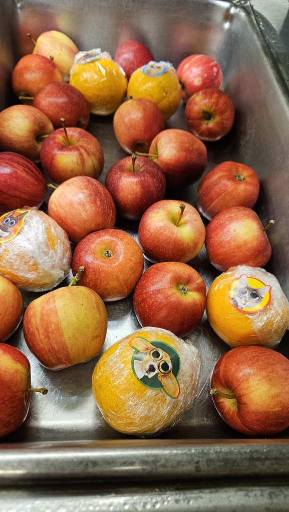 fruit