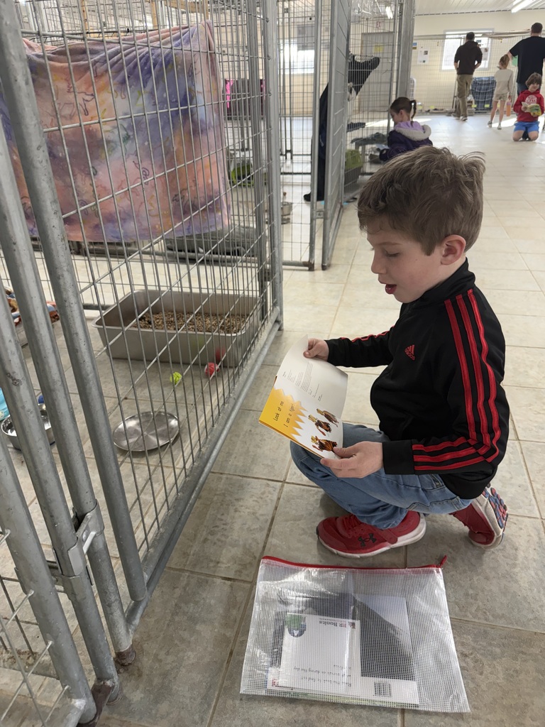 student reading books to cats at the shelter