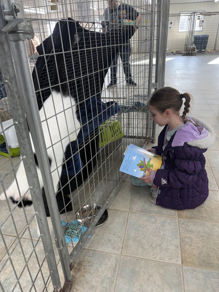student reading books to cats at the shelter