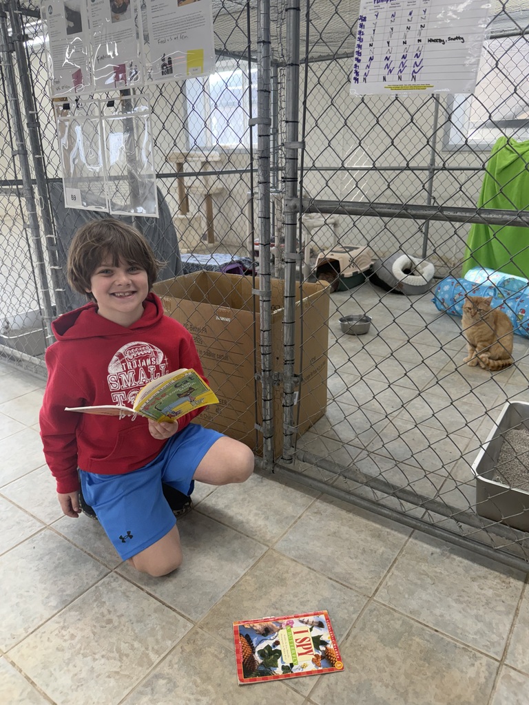 student reading books to cats at the shelter