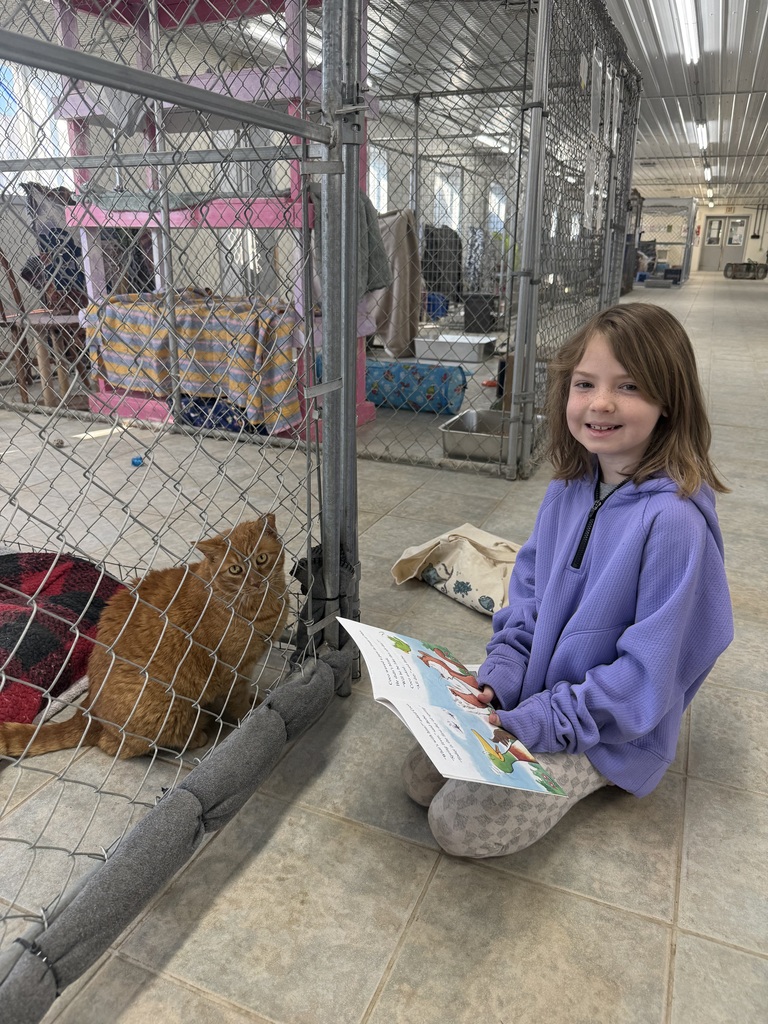 student reading books to cats at the shelter