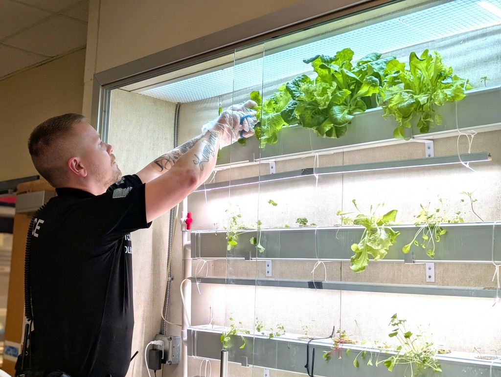 Officer Dooley cutting lettuce