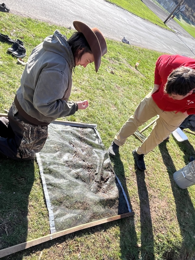photos of students observing wildlife