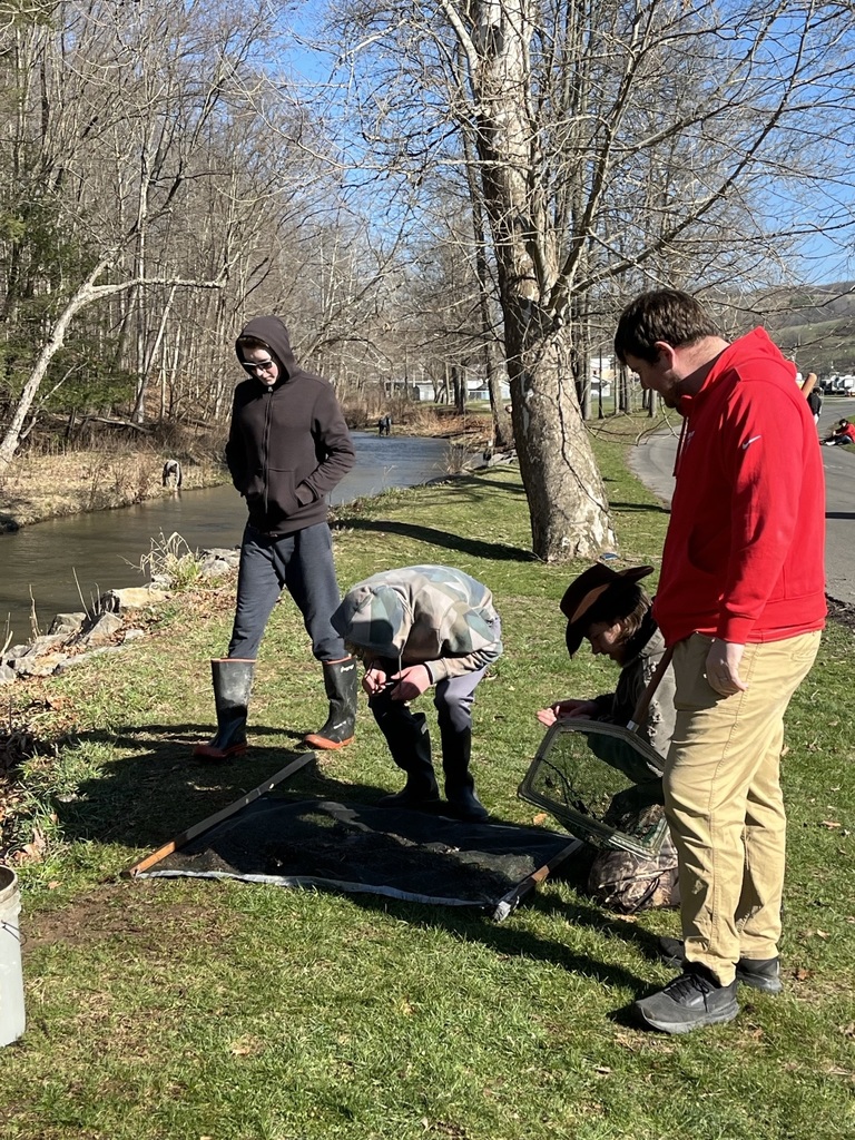 photo of students observing wildlife