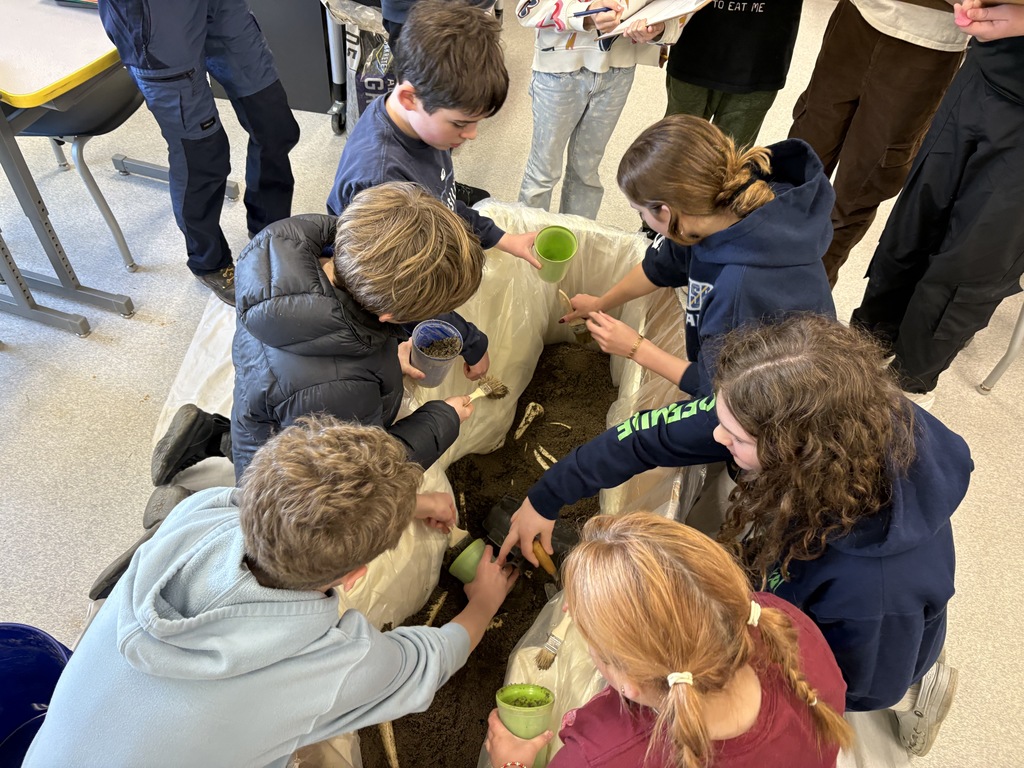 7th grade archeology