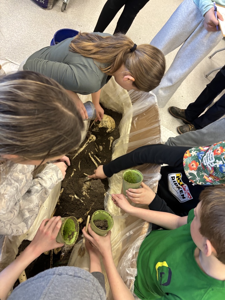 7th grade archeology