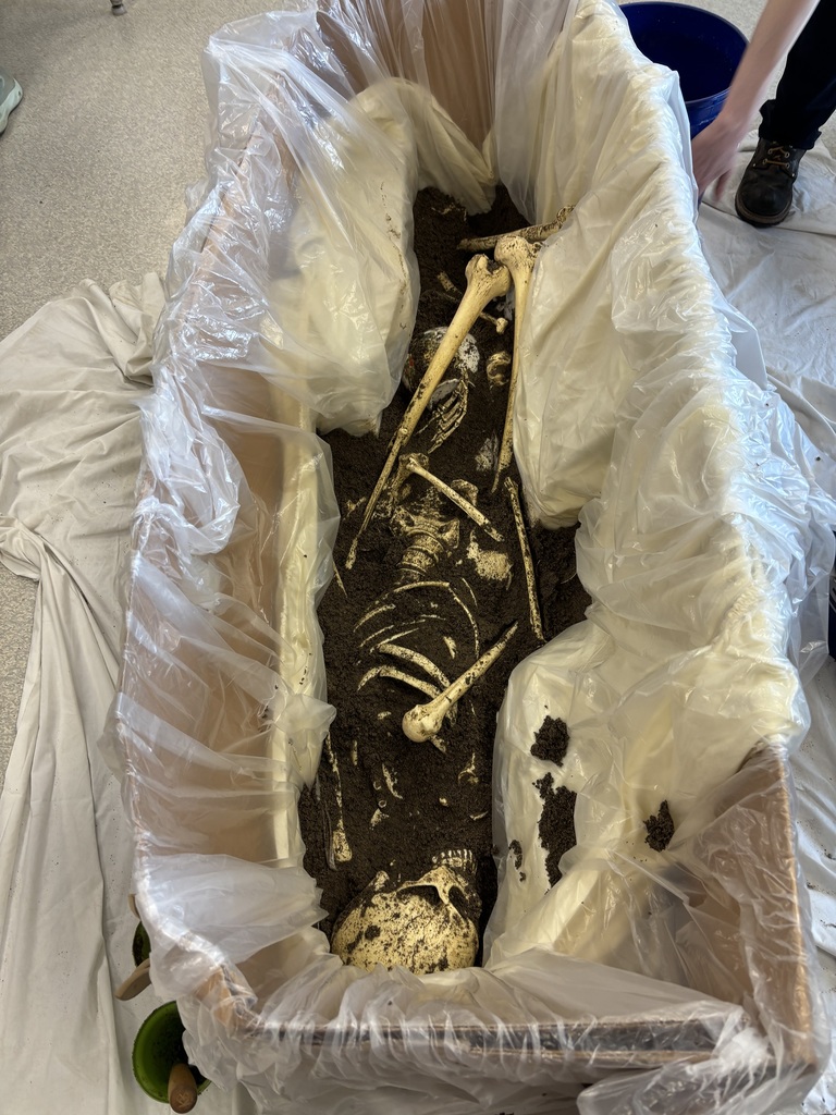 7th grade archeology