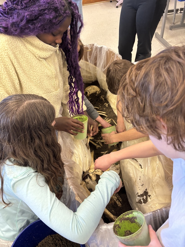 7th grade archeology