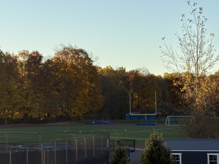 TCSD campus