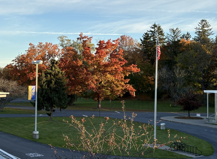 TCSD campus