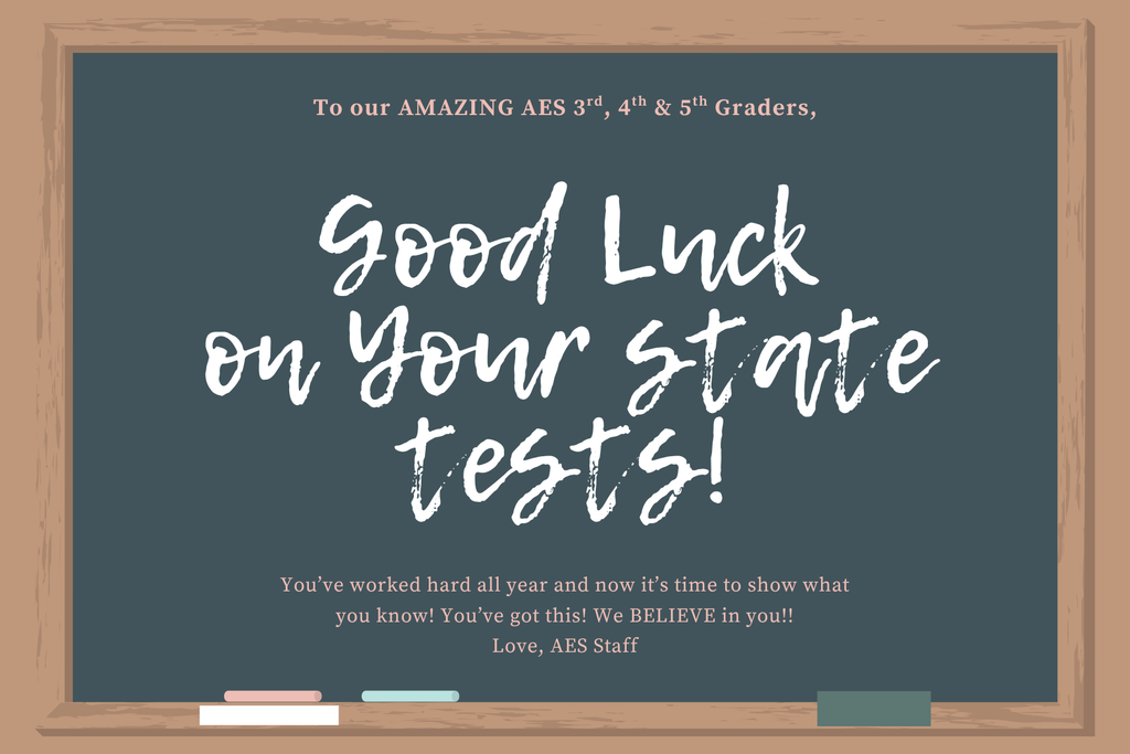 AES State Tests