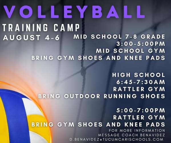 volleyball flyer