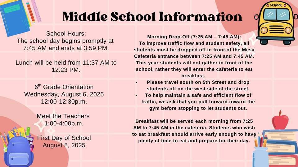 TMS INFO