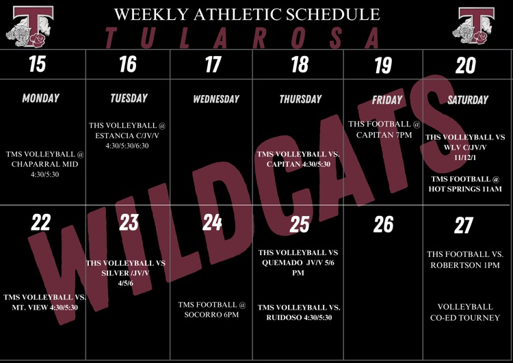 schedule 