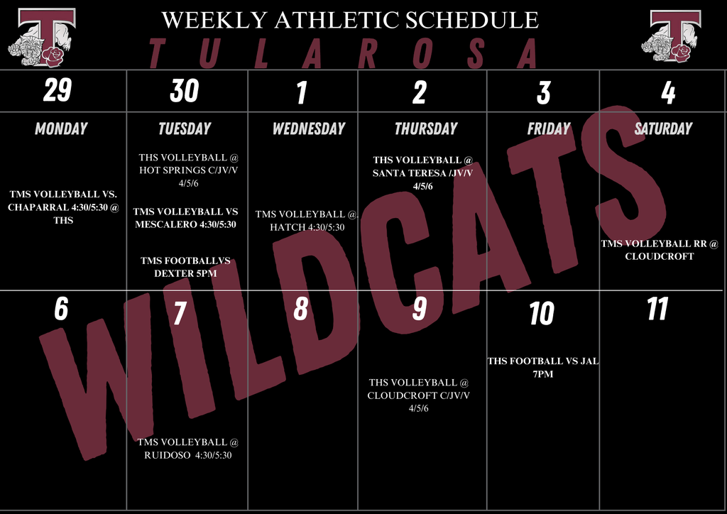 Schedule