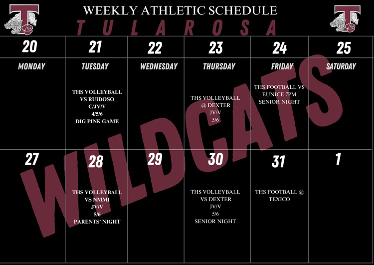Weekly Schedule 
