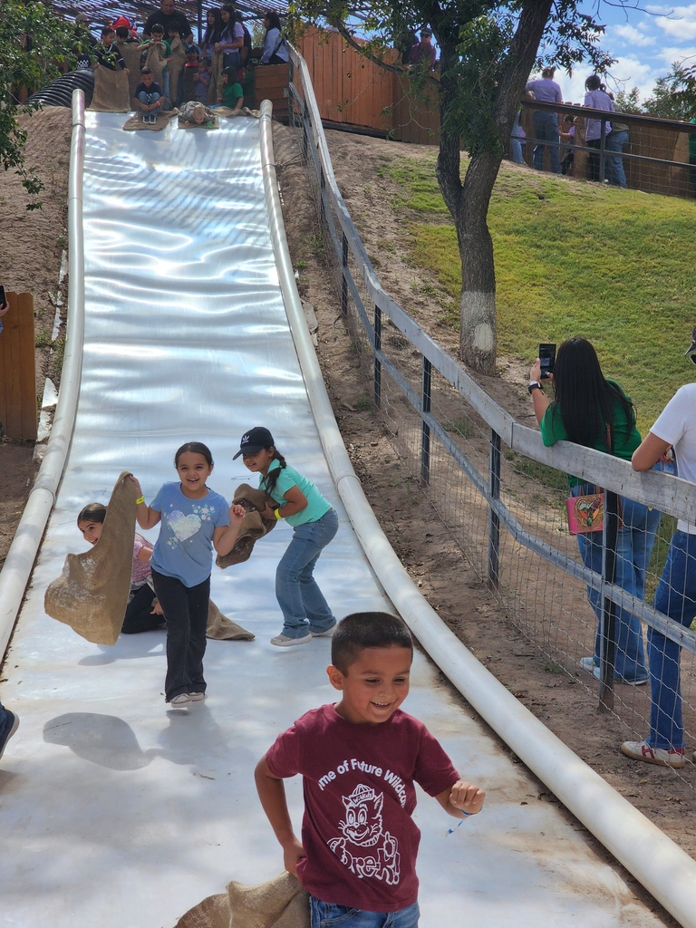 Slide fun!