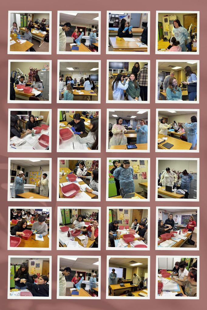 THS Health Science classes 