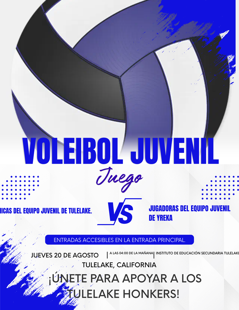 Volleyball 2