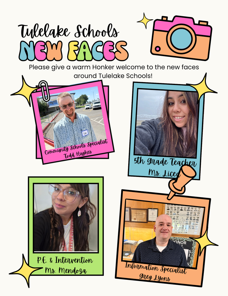 New Faces