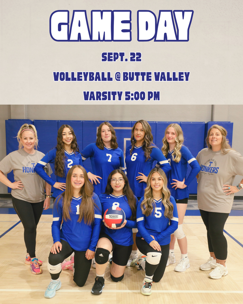 VB