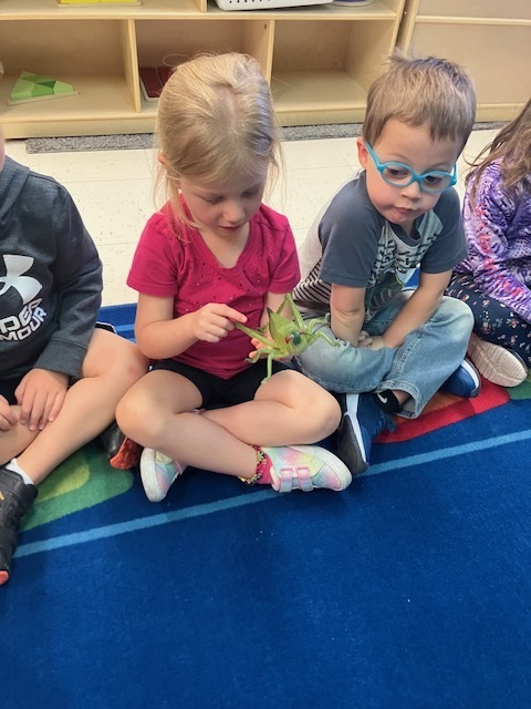 preschool