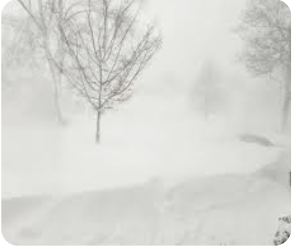 Screenshot 2026-03-15 at 5