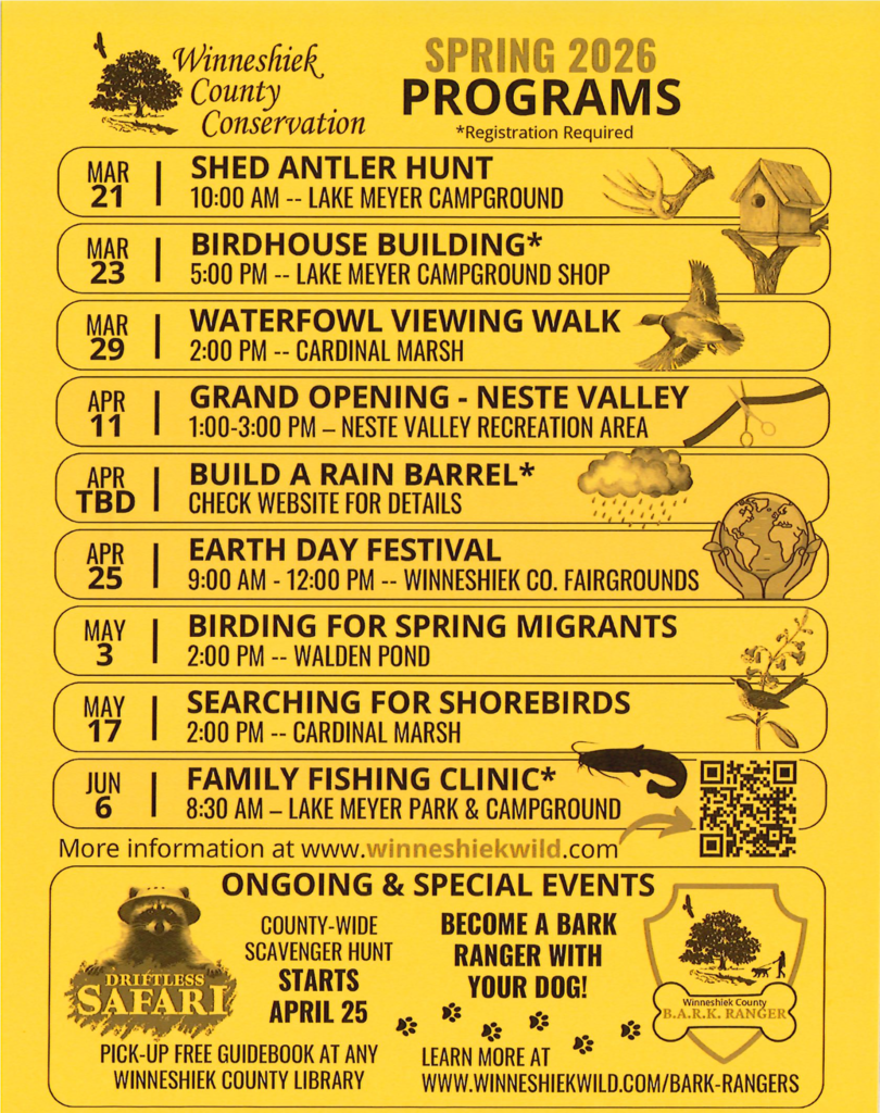 Screenshot 2026-03-25 at 11