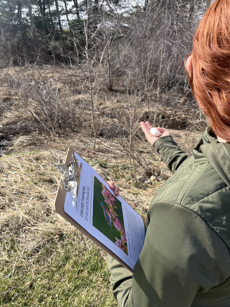 April Fools Day joke