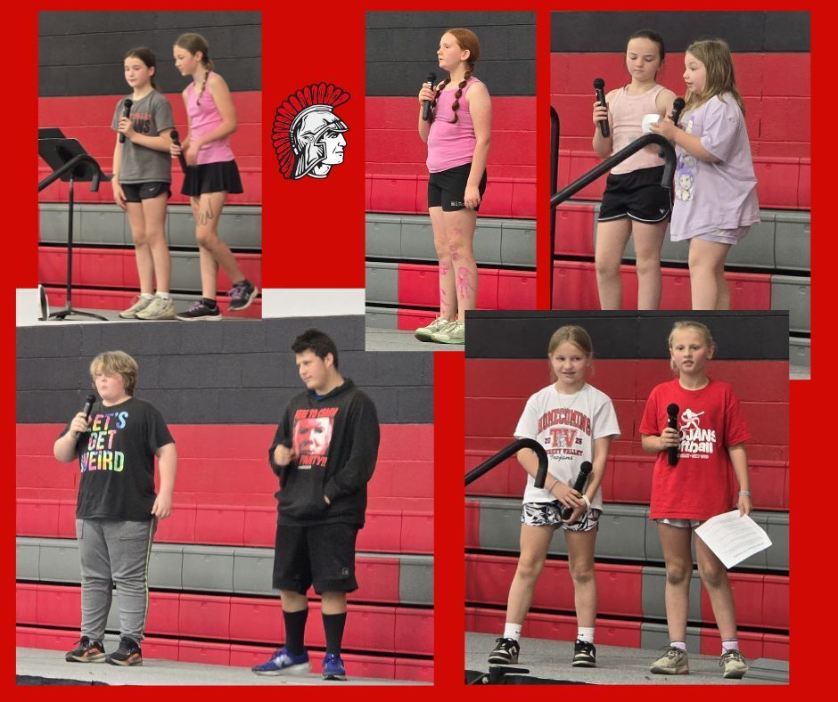 variety show