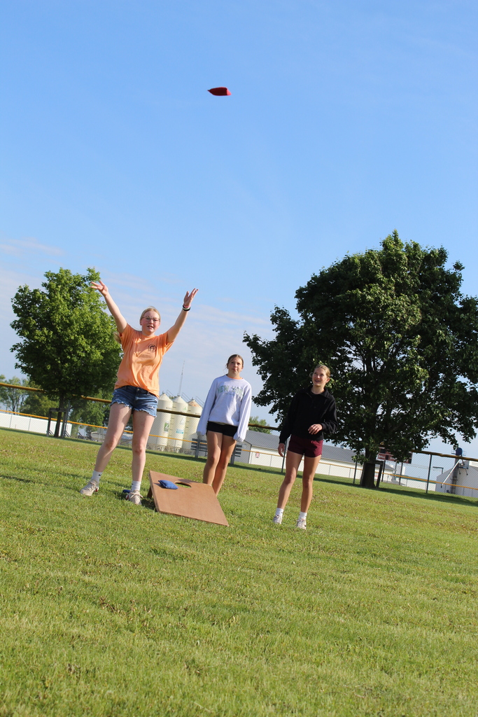 bean bag toss