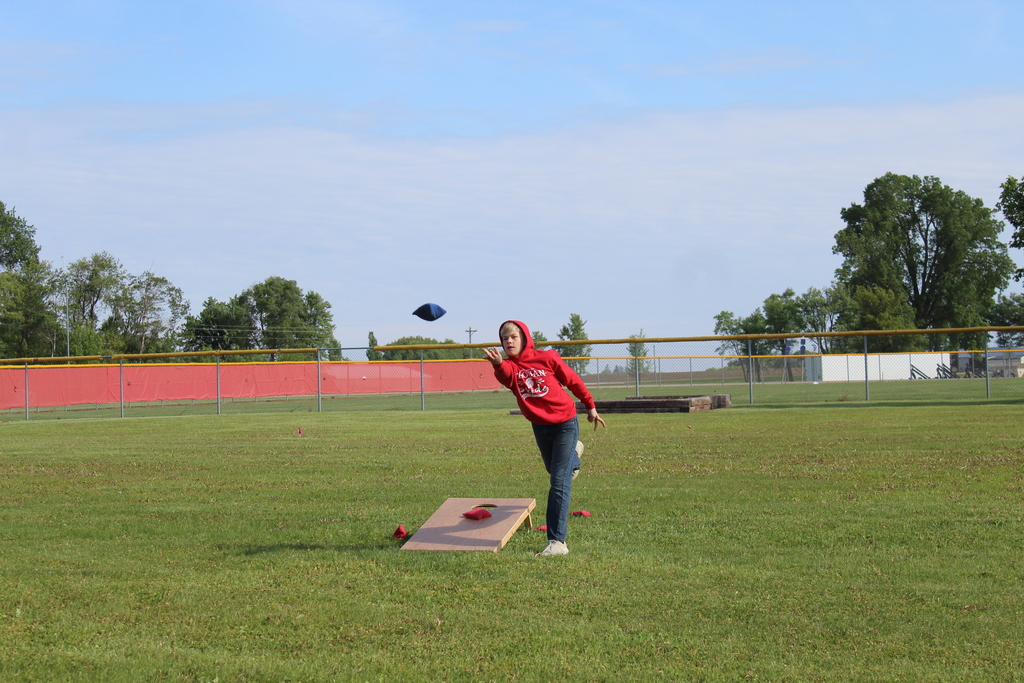 bean bag toss