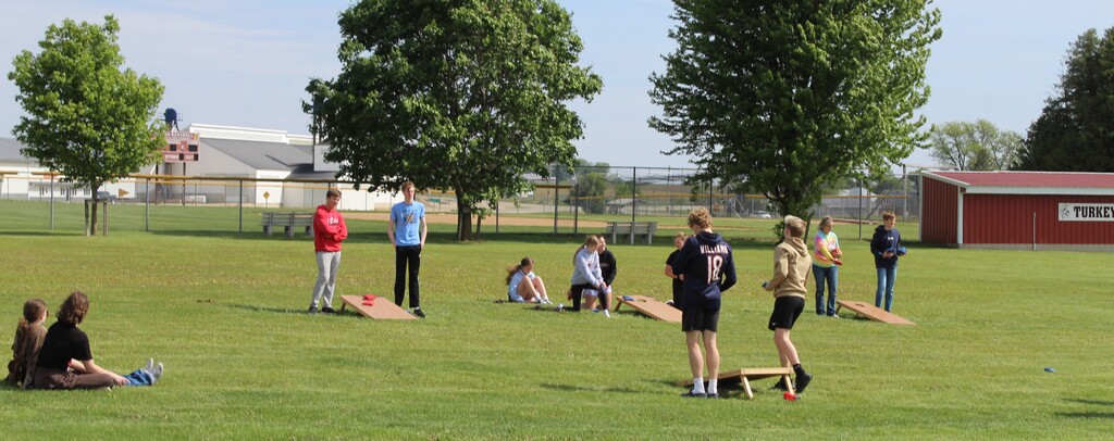 bean bag toss