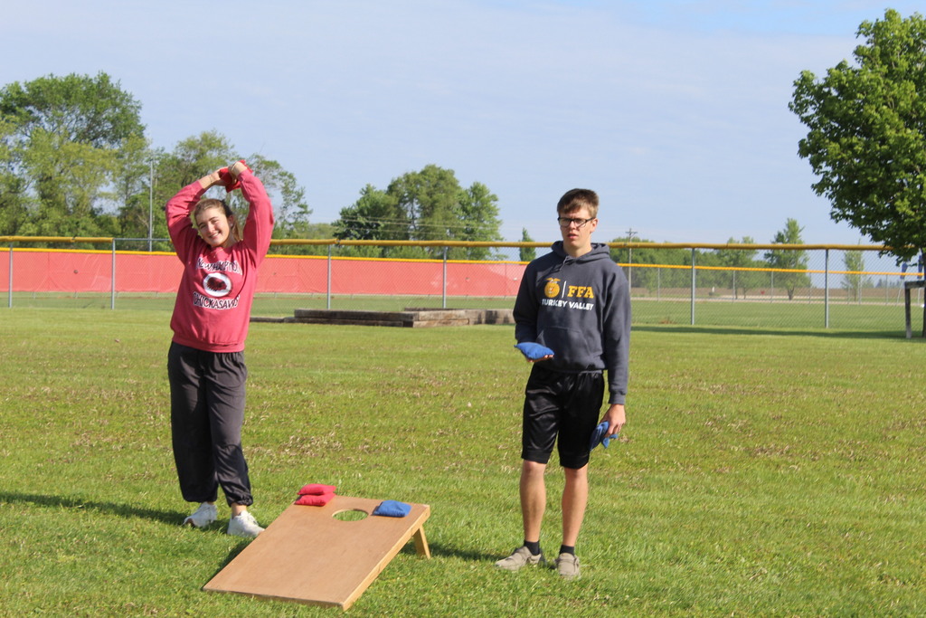 bean bag toss