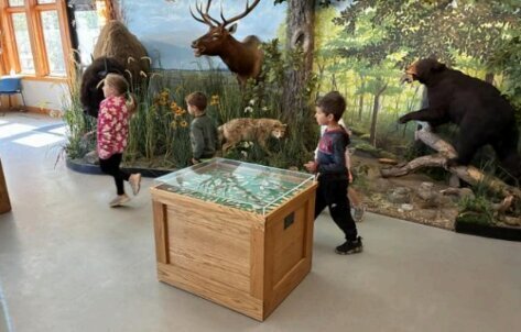 preschool field trip