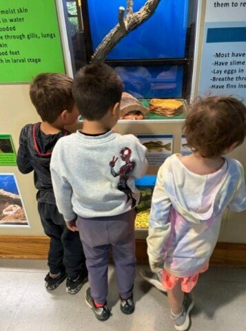 preschool field trip