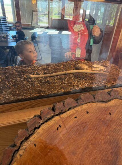 preschool field trip