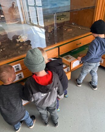 preschool field trip