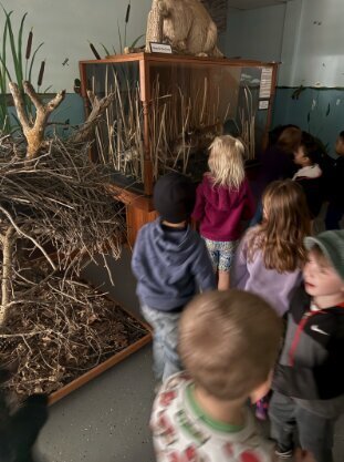preschool field trip