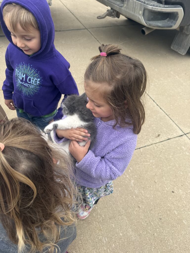 preschool