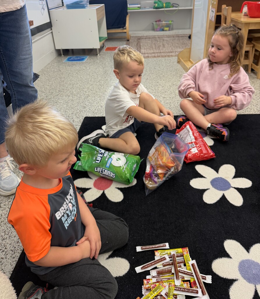 preschool farmer bags